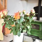 Terrace & Tranquility Casa de Férias