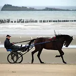 Terrace & Tranquility Fresville