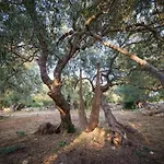Terrace & Tranquility Casa de Férias *