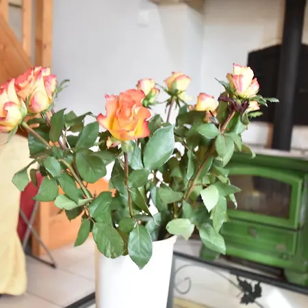 Terrace & Tranquility Feriehus