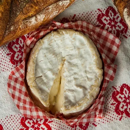 Feriehus Terrace & Tranquility *