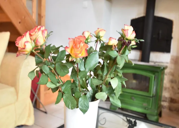 Terrace & Tranquility Σπίτι διακοπών