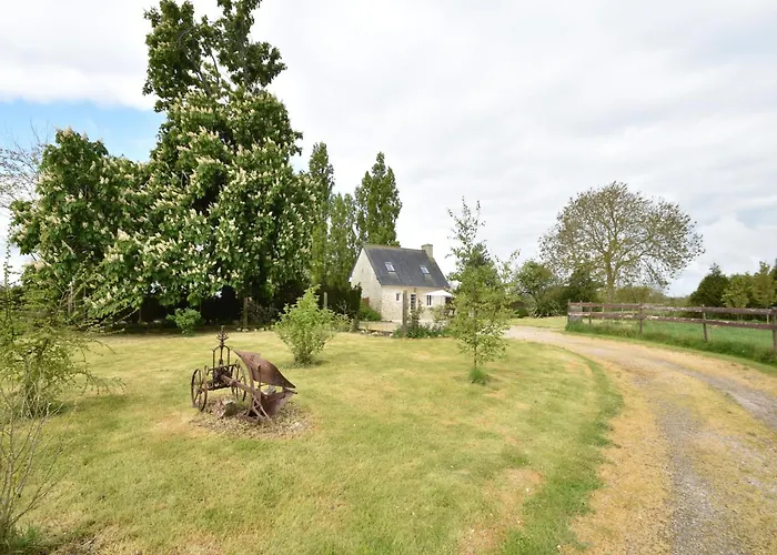 Terrace & Tranquility *