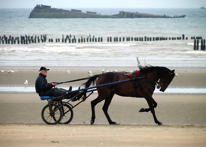 Terrace & Tranquility Fresville