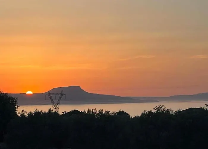 Terrace & Tranquility *