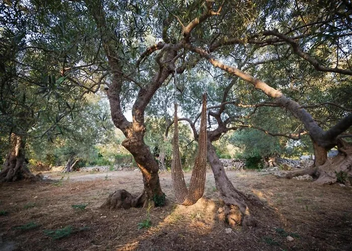 Terrace & Tranquility 펜션 *