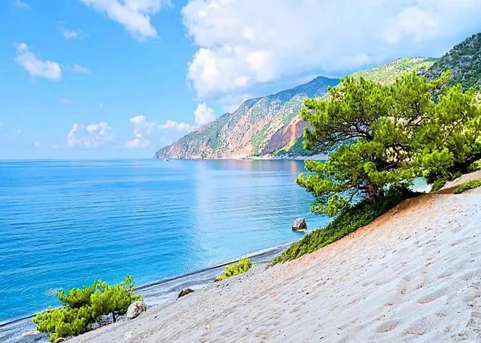 펜션 Terrace & Tranquility *