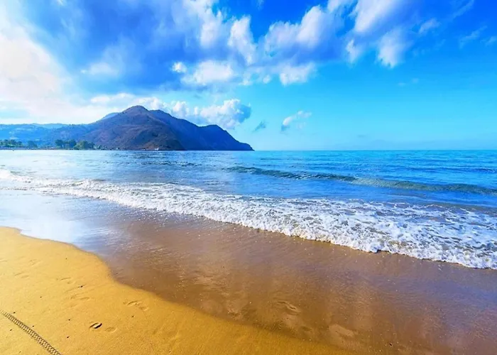 Terrace & Tranquility *